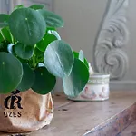 Parentale Proche D'uzes Avec Petit Dejeuner * Arpaillargues-et-Aureillac