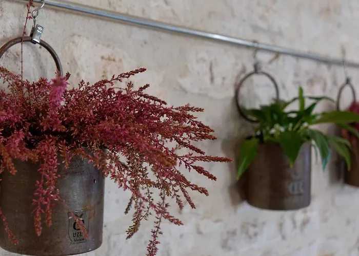 Parentale Proche D'uzes Avec Petit Dejeuner Homestay Arpaillargues-et-Aureillac